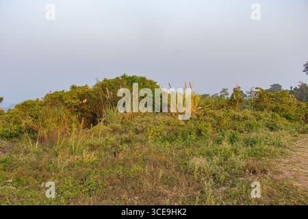 Majestätischer grüner Wald und sanfte Bergketten unter klarem Himmel im Sajek-Tal Stockfoto