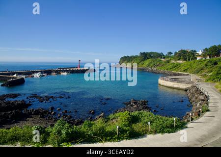 Blick aus der Nähe auf das zerklüftete Basalt-Lavastein entlang der Nordküste von Jeju, mit verwitterten Texturen und kargen Pflanzen neben ruhigem blauem Wasser an einem klaren Tag. Stockfoto