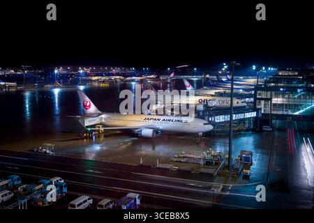 Kommerzielle Passagierflugzeuge, die an den Flugsteigen am Haneda International Airport, ÅŒta, Tokio, KantÅ, Honshu, Japan Stockfoto
