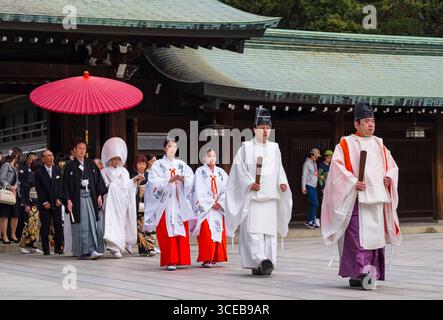 Shinto Hochzeit Prozession mit Braut trägt die traditionelle Watabōshi weiße Haube zu Fuß mit Bräutigam unter einem roten Regenschirm in der Meiji-Jingu-Shinto Stockfoto