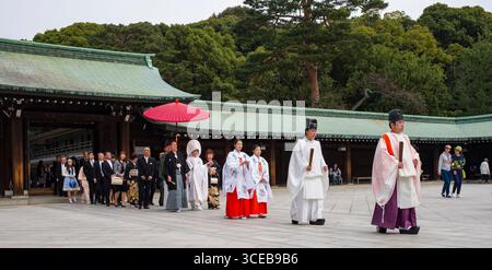 Shinto Hochzeit Prozession mit Braut trägt die traditionelle Watabōshi weiße Haube zu Fuß mit Bräutigam unter einem roten Regenschirm in der Meiji-Jingu-Shinto Stockfoto