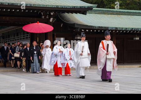 Shinto Hochzeit Prozession mit Braut trägt die traditionelle Watabōshi weiße Haube zu Fuß mit Bräutigam unter einem roten Regenschirm in der Meiji-Jingu-Shinto Stockfoto