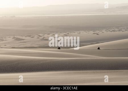Quad-Radtouren in den Sanddünen in Shipwreck Lodge - Skeleton Coast National Park, Namibia, Afrika Stockfoto