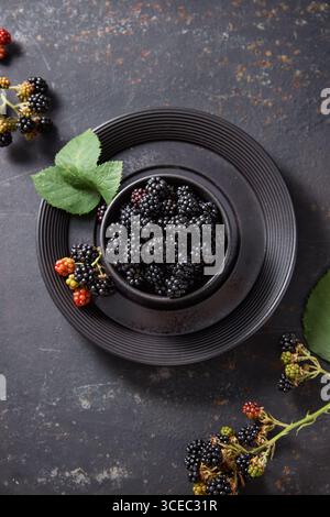Frische Brombeeren in eine Schüssel geben Stockfoto