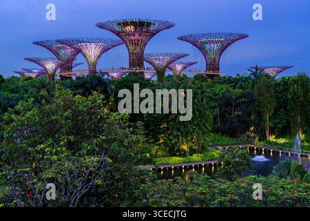 Beleuchtete Superbäume in den Gardens of the Bay, auch bekannt als Marina Bay Gardens in Singapur Stockfoto