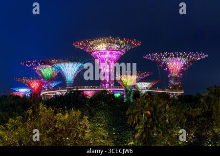 Beleuchtete Superbäume in den Gardens of the Bay, auch bekannt als Marina Bay Gardens in Singapur Stockfoto