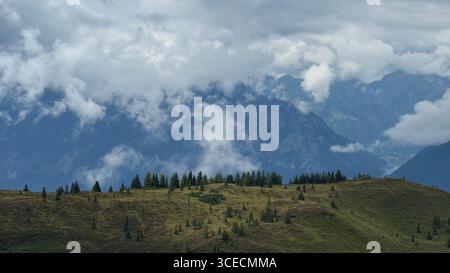 Faszinierende Berglandschaft mit einem üppig grünen Hügel mit verstreuten Kiefern unter einem stimmungsvollen Himmel voller Wolken, die eine ruhige und tr bieten Stockfoto
