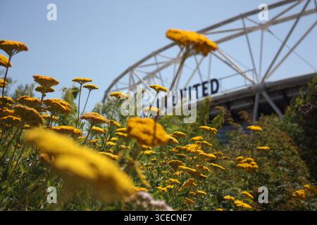London Sommer Stockfoto