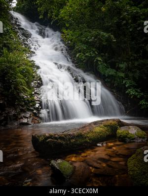 Der fesselnde Wasserfall, der durch üppiges Grün im Bwindi Inpenetrable Forest, Uganda, stürzt und die Ruhe und Schönheit der afrikanischen Natur verkörpert Stockfoto