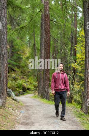 Ein Mann schlendert im Herbst auf einem malerischen Waldweg, umgeben von hohen Bäumen und lebhaftem Laub in der Schweiz, um die ruhige Schönheit der se einzufangen Stockfoto