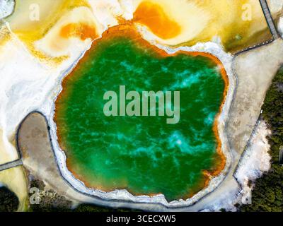 Ein atemberaubender Blick aus der Vogelperspektive auf den Champagne Pool im Wai-O-Tapu Geothermal Park, Neuseeland, mit leuchtenden Orange-, Gelb- und Grüntönen Stockfoto