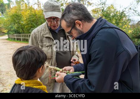 Ein Vater, Sohn und Großvater verbringen wertvolle Zeit zusammen mit der Knoblauchernte und erkunden die Welt der essbaren Wildpflanzen, um eine tiefe Verbindung zu fördern Stockfoto