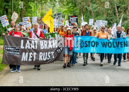 MAARN - Extinction Rebellion Unterstützer und Sympathisanten nehmen an einer Demonstration für das Wohlergehen des Problemwolfs GW3237m Teil, auch Bram genannt. Das Tier war an mehreren Beißvorfällen im Utrechtse Heuvelrug beteiligt. Die Provinz Utrecht hat die Erlaubnis erteilt, den Wolf erschießen zu lassen. ANP IRIS VAN DEN BROEK niederlande aus - belgien aus Stockfoto