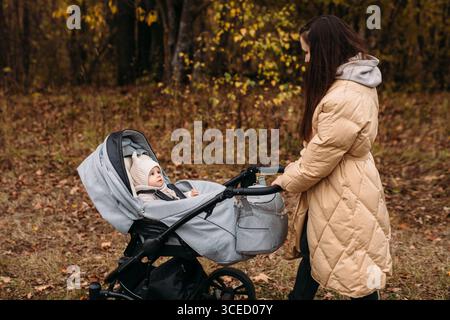 Eine Mutter macht einen friedlichen Herbstspaziergang mit ihrem Kind im Kinderwagen. Die Szene fängt die heitere Schönheit des Herbstes mit verstreuten Blättern auf dem Boden ein Stockfoto