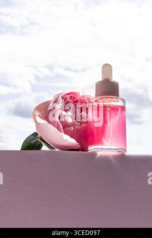Eine klare Kosmetikflasche gefüllt mit rosa Flüssigkeit sitzt elegant neben einer blühenden rosa Pfingstrose. Die Umgebung ist ruhig und mit weichem Tageslicht, das noch mehr anregt Stockfoto