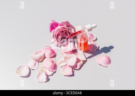 Von oben befindet sich eine Flasche Rosenwasserserum mit Tropfer zwischen zarten rosa Rosenblättern und einer blühenden Rose auf einem unberührten weißen Hintergrund, Exsudi Stockfoto