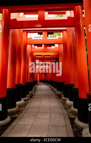 Pfad durch die berühmten roten Torii-Tore am Fushimi Inari-taisha, einem berühmten schintoistischen Schrein in Kyoto, Japan. Ein friedliches und spirituelles Symbol der Japaner Stockfoto