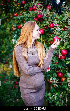 Eine schöne schwangere Frau mit rotem Haar steht in einem Apfelgarten, umgeben von üppigen grünen Blättern und leuchtenden roten Äpfeln, und genießt eine friedliche Momen Stockfoto