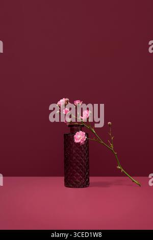Ein zartes Arrangement aus Polyantha-Rosenblüten in einer strukturierten Vase vor einem leuchtend roten Hintergrund, das die natürliche Schönheit und Schönheit unterstreicht Stockfoto