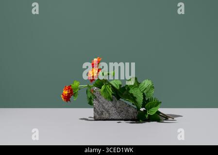 Eine lebhafte Darstellung von roten und gelben Lantana Camara Blumen, wunderschön angeordnet vor einer grünen Kulisse. Der immergrüne Sträucher der Verbenaceae-Familie Stockfoto