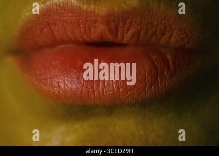 Ein Nahaufnahme-Bild, das die natürliche Textur und die lebendige Farbe der Lippen einer Frau hervorhebt. Die Detailansicht erfasst die einzigartigen Muster und subtilen Variaten Stockfoto