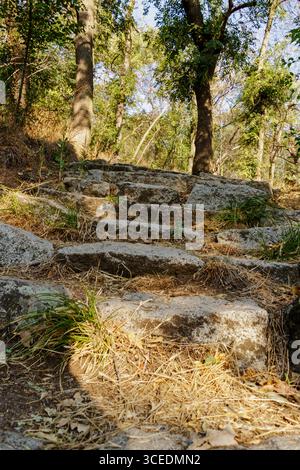 Auf einem Pfad aus rauen Steintreppen schlängelt sich der Weg durch einen lebendigen Wald voller Sonnenlicht und üppiger Laubpflanzen und lädt zum Erkunden in A ein Stockfoto