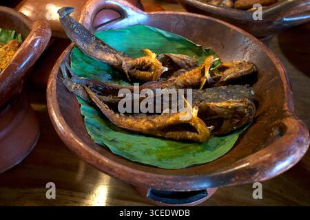 Gebratener Wels auf grünen Bananenblättern, in einer Tonpfanne, köstliches Street Food in Yogyakarta, Indonesien. Stockfoto