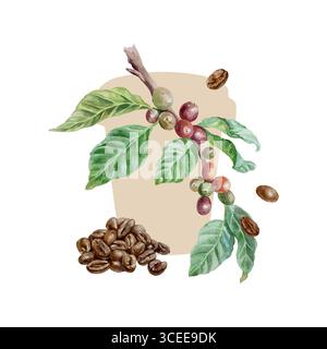 Kaffeezweig mit grünen Blättern und Früchten, Pappbecher-Silhouette und gerösteten Kaffeebohnen. Handgezeichnetes Aquarell isoliert. Vektor-Clip-Art für Café mich Stock Vektor