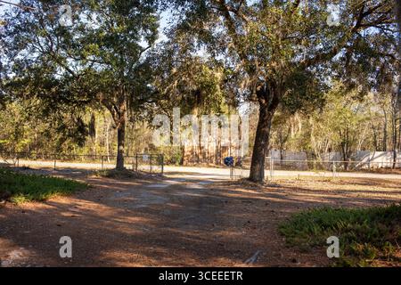 Das Grab des berühmten Autors Pat Conroy befindet sich in den Saint Helena Memorial Gardens am Ernest Drive auf Saint Helena Island, South Carolina. Stockfoto