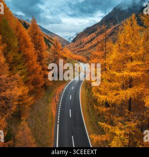 Blick aus der Vogelperspektive auf die gewundene Bergstraße und den Orangenwald im Herbst Stockfoto
