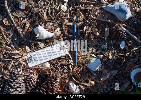 Das Grab des berühmten Autors Pat Conroy befindet sich in den Saint Helena Memorial Gardens am Ernest Drive auf Saint Helena Island, South Carolina. Stockfoto