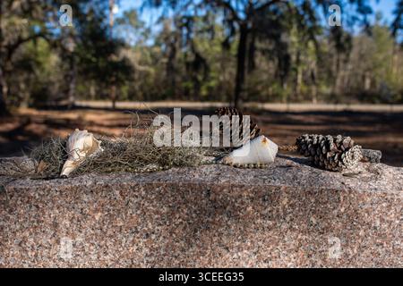 Das Grab des berühmten Autors Pat Conroy befindet sich in den Saint Helena Memorial Gardens am Ernest Drive auf Saint Helena Island, South Carolina. Stockfoto