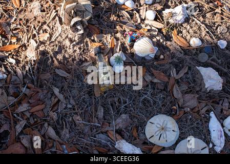 Das Grab des berühmten Autors Pat Conroy befindet sich in den Saint Helena Memorial Gardens am Ernest Drive auf Saint Helena Island, South Carolina. Stockfoto