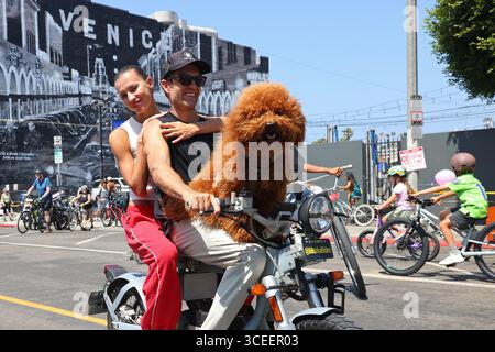Venedig, Kalifornien, USA. August 2025. Die Teilnehmer fahren mit ihrem Hund auf der Windward Avenue während des 61. Open-Streets-Events „Culver City meets Venice“ in Venedig, Kalifornien am Sonntag, den 18. August 2025. Die Strecke erstreckte sich vom La Cienega Boulevard bis zum Venice Beach Boardwalk. (Credit Image: © Jonathan Alcorn/ZUMA Press Wire) NUR REDAKTIONELLE VERWENDUNG! Nicht für kommerzielle ZWECKE! Quelle: ZUMA Press, Inc./Alamy Live News Stockfoto