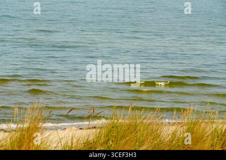 Strand an der Ostsee mit Dünen im Vordergrund. Stockfoto