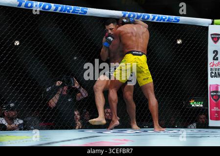 Chicago, Il, Chicago, Il, USA. August 2025. CHICAGO, IL - 16. August: Edson Barboza und Drakkar Klosemeet im Achteck für einen 3-Runden-Kampf während UFC 319 - du Plessis vs Chimaev im United Center am 16. August 2025 in Chicago, IL (Foto: Louis Grasse/PxImages) (Credit Image: © Louis Grasse/PX Imagens via ZUMA Press Wire) NUR REDAKTIONELLE VERWENDUNG! Nicht für kommerzielle ZWECKE! Stockfoto