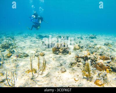 Ein Taucher erkundet das wunderschöne Unterwasser-Ökosystem von San Andres, Kolumbien, und zeigt seine lebendige Unterwasserwelt und Korallenformationen. Stockfoto