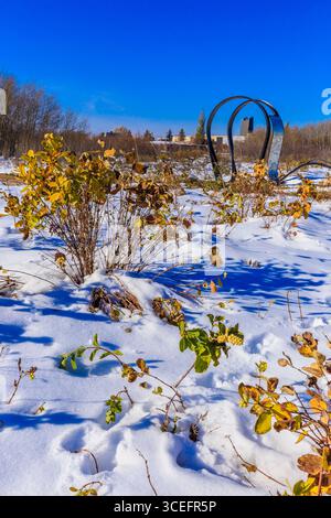 Der Mark Thompson Park befindet sich im Stadtteil Stonebridge von Saskatoon. Stockfoto