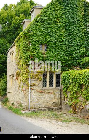 Historisches Cottage bedeckt mit grünem Efeu in einer ländlichen Landschaft Umgebung. Little Rissington, England Stockfoto