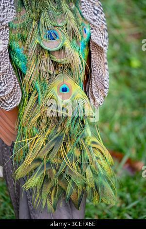 Detaillierte Ansicht der lebendigen Schwanzfedern von Peacock mit unverwechselbaren Augenflecken. Indisches Pfauzgefieder, Grün- und Goldtöne, Vogeltextur, Naturdetails, Stockfoto
