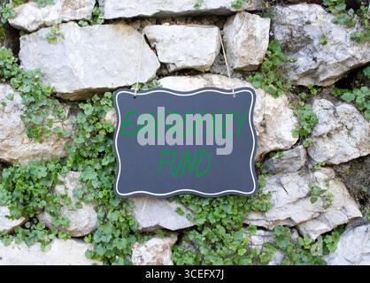 Symbol für Notfallfonds. Steinmauer mit Worten Rettungsfonds. Schöner Steinhintergrund mit Pflanzen. Business and Emergency Fund Konzept. Kopierbereich. Stockfoto