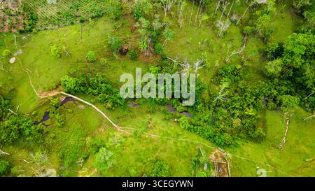 Panoramablick aus der Vogelperspektive auf die grüne Landschaft von Putumayo, Kolumbien, mit gewundenen Bächen und dichtem Grün, die die natürliche Schönheit der Region widerspiegeln. Stockfoto