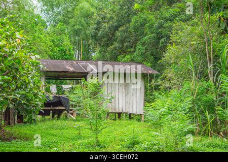 Eine rustikale Holzhütte umgeben von üppigem Grün in Putumayo, Kolumbien. Die Szene fängt das ländliche Leben und die natürliche Schönheit ein. Stockfoto