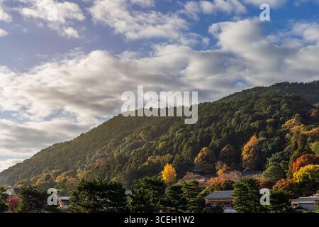 Das Morgenlicht zieht durch den leichten Dunst über bewaldeten Hügeln in Arashiyama, Kyoto, Japan, und beleuchtet farbenfrohe Herbstbäume vor einem Himmelsstreifen Stockfoto