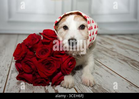 Niedlicher Hündchen, der den Muttertag oder valentinstag feiert, neben einem roten Blumenstrauß Stockfoto