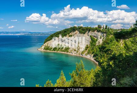 Panoramablick auf die wunderschöne Mondbucht, den Naturpark Strunjan in Slowenien. Stockfoto