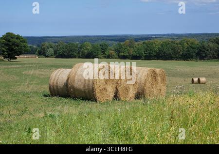 Heuballen auf dem Land, melton Constable, norfolk, england Stockfoto