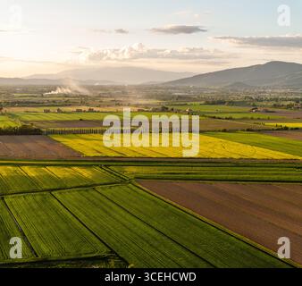 Blick aus der Vogelperspektive auf Patchwork-Felder in Erdbraun, leuchtendem Grün und sonnigem Gelb, die sich unter der toskanischen Sonne sonnen, Cortona, Toskana, Italien. Stockfoto