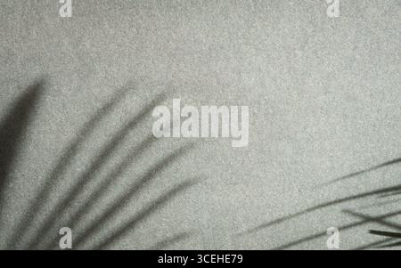 Schatten von Palmblatt auf strukturierter grauer Wand. Kopierbereich. Stockfoto