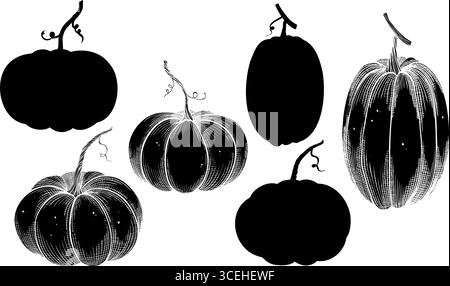 Kürbisvektorillustration. Lineare Zeichnung mit Kürbissen, die mit schwarzer Tinte gemalt sind. Ätzen und Silhouette von Herbstgemüse für Erntefeste, Thanksgiving-Einladungen oder Grußkarten. Stock Vektor